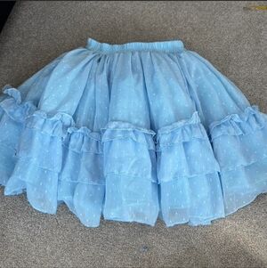 Ronova Petticoat Skirt